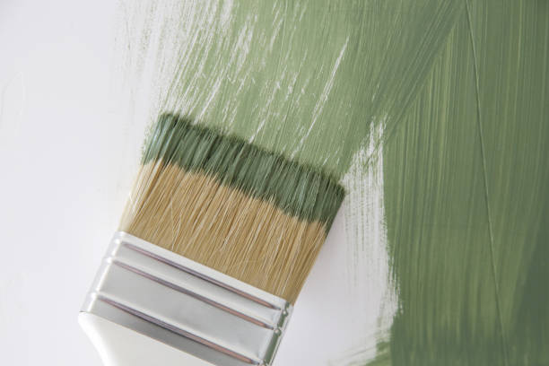 Mold Remediation for Rental Properties in Sanford, ME