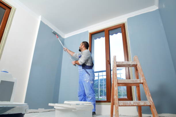 Best Black Mold Removal  in Sanford, ME