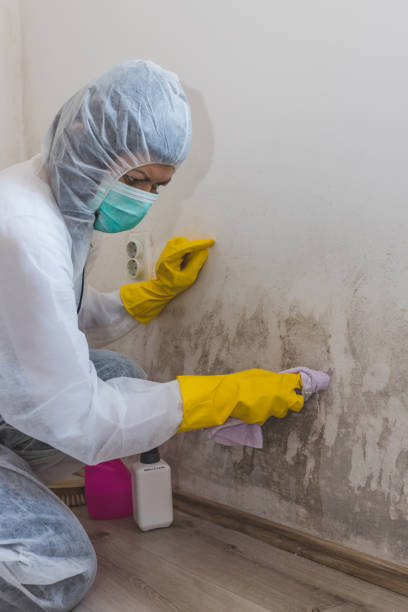 Best Crawl Space Mold Remediation  in Sanford, ME