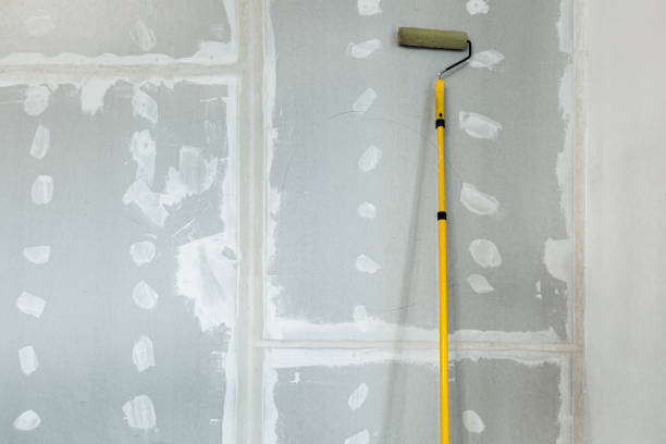 Best Asbestos and Lead Testing During Mold Inspection  in Sanford, ME