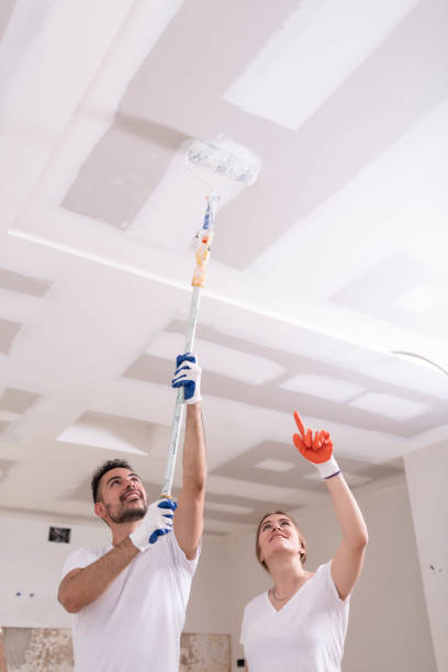 Best Residential Mold Inspection & Testing  in Sanford, ME