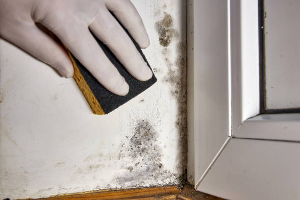 Best Post-Remediation Verification Testing  in Sanford, ME