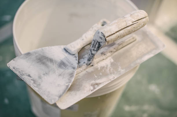 Best Forensic Mold Investigation  in Sanford, ME