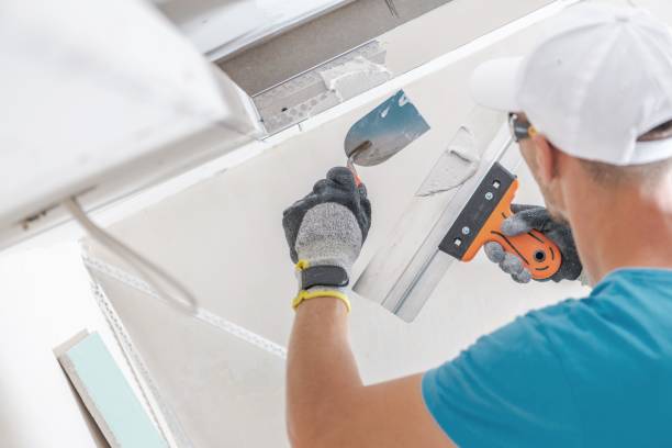 Best Basement Mold Removal  in Sanford, ME